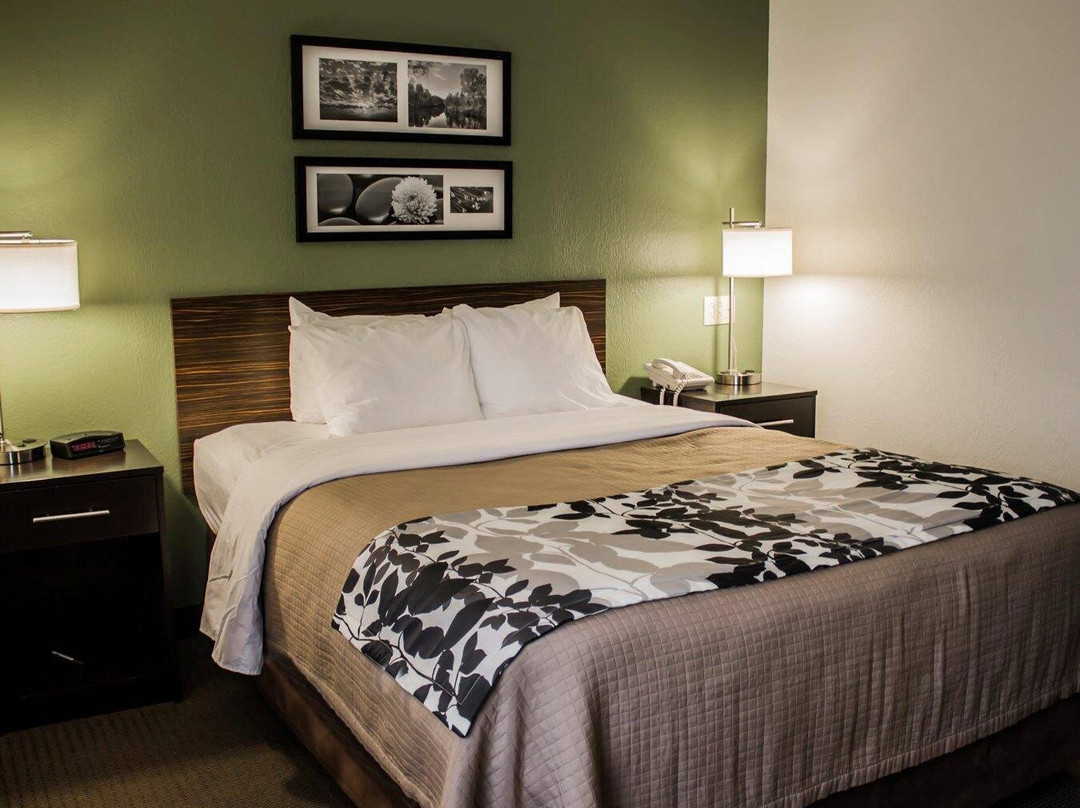 Davidsville酒店住宿-Sleep Inn Johnstown - Richland Town Center