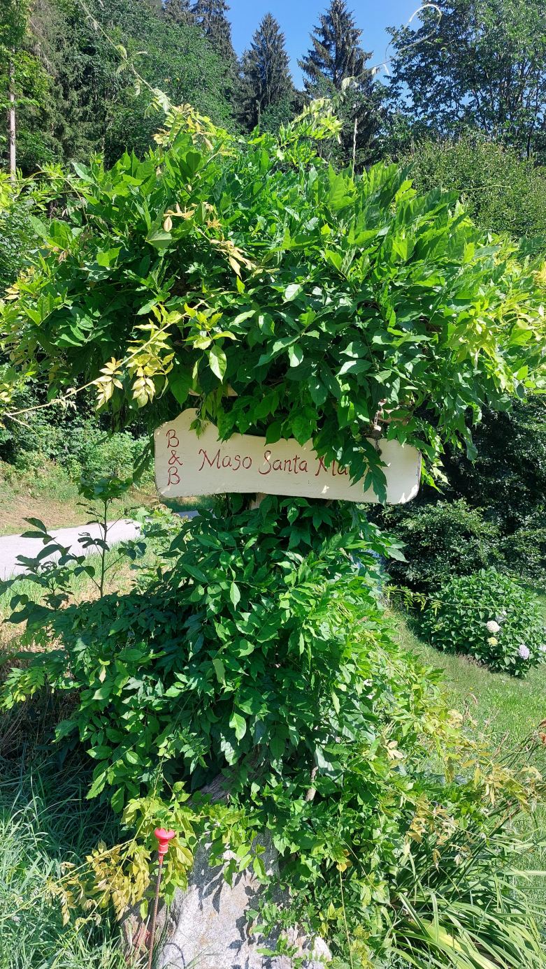 B&B Maso Santa Maria-旅行者