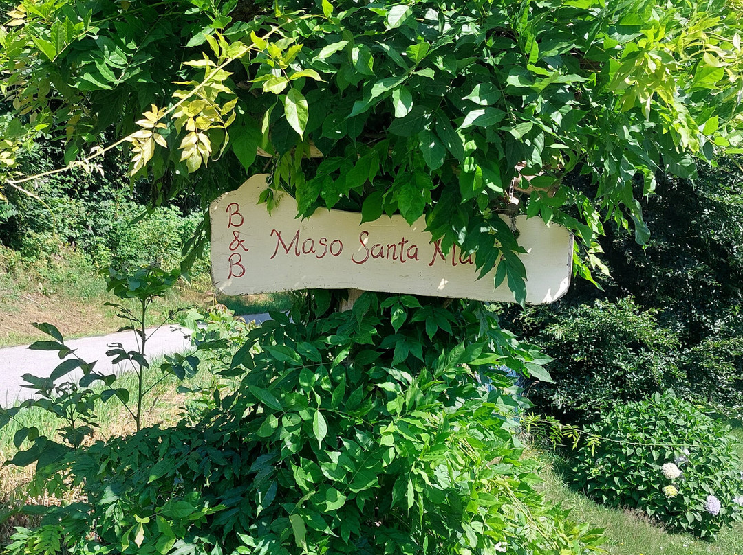 B&B Maso Santa Maria主图