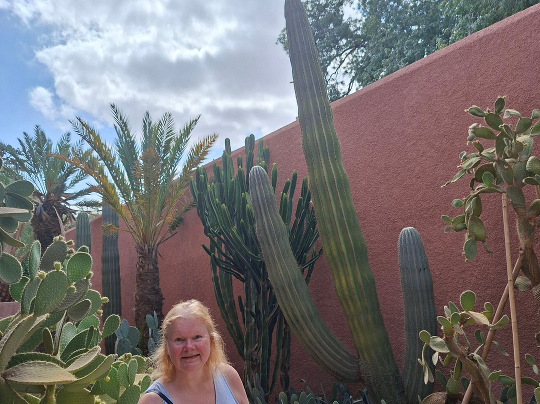 Musée Yves Saint Laurent Marrakech-马拉喀什必去景点
