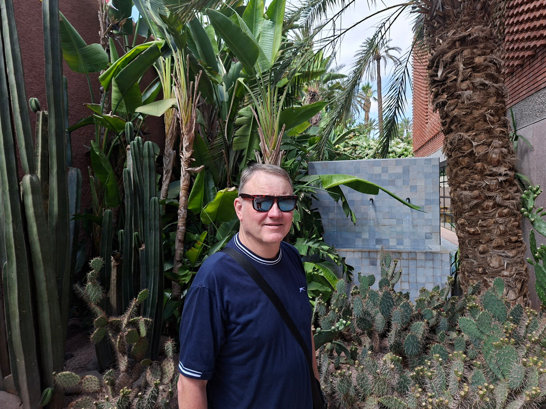 Musée Yves Saint Laurent Marrakech-马拉喀什必去景点