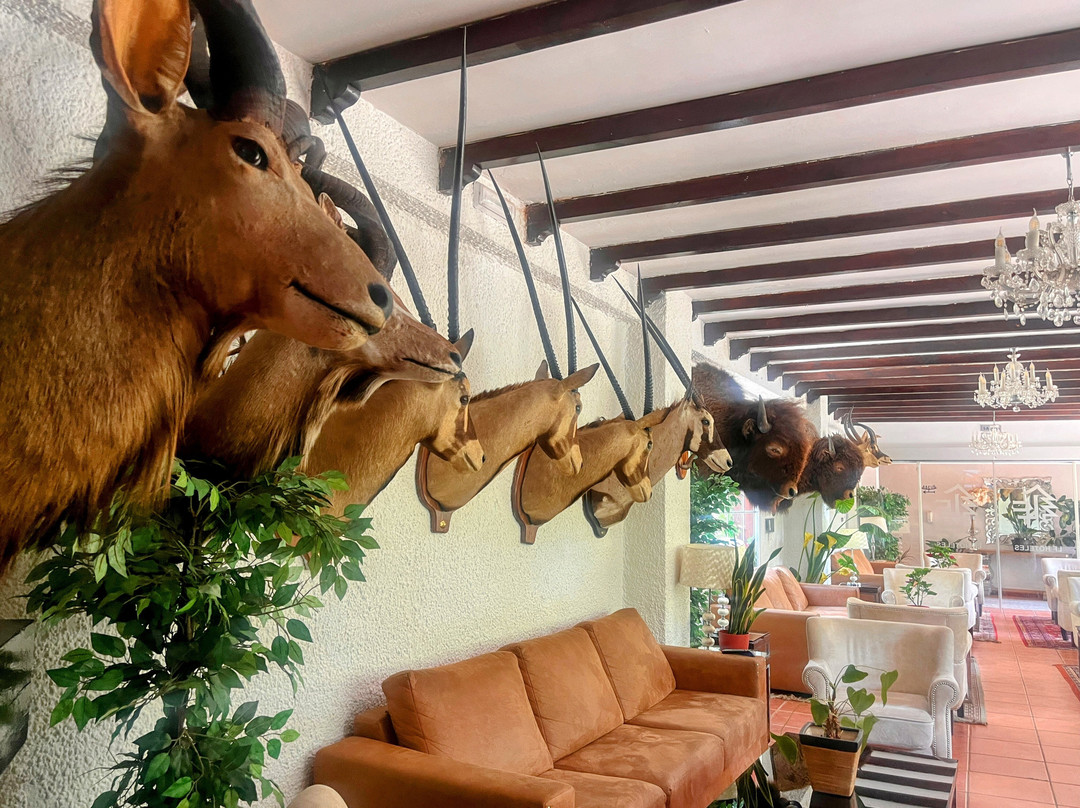 Hotel Rural Noguera de la Sierpe主图