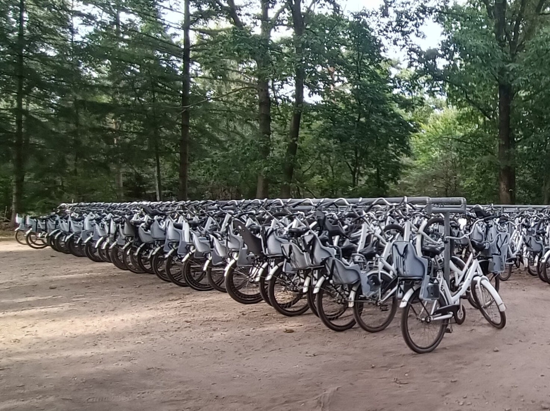 Nationale Park Hoge Veluwe