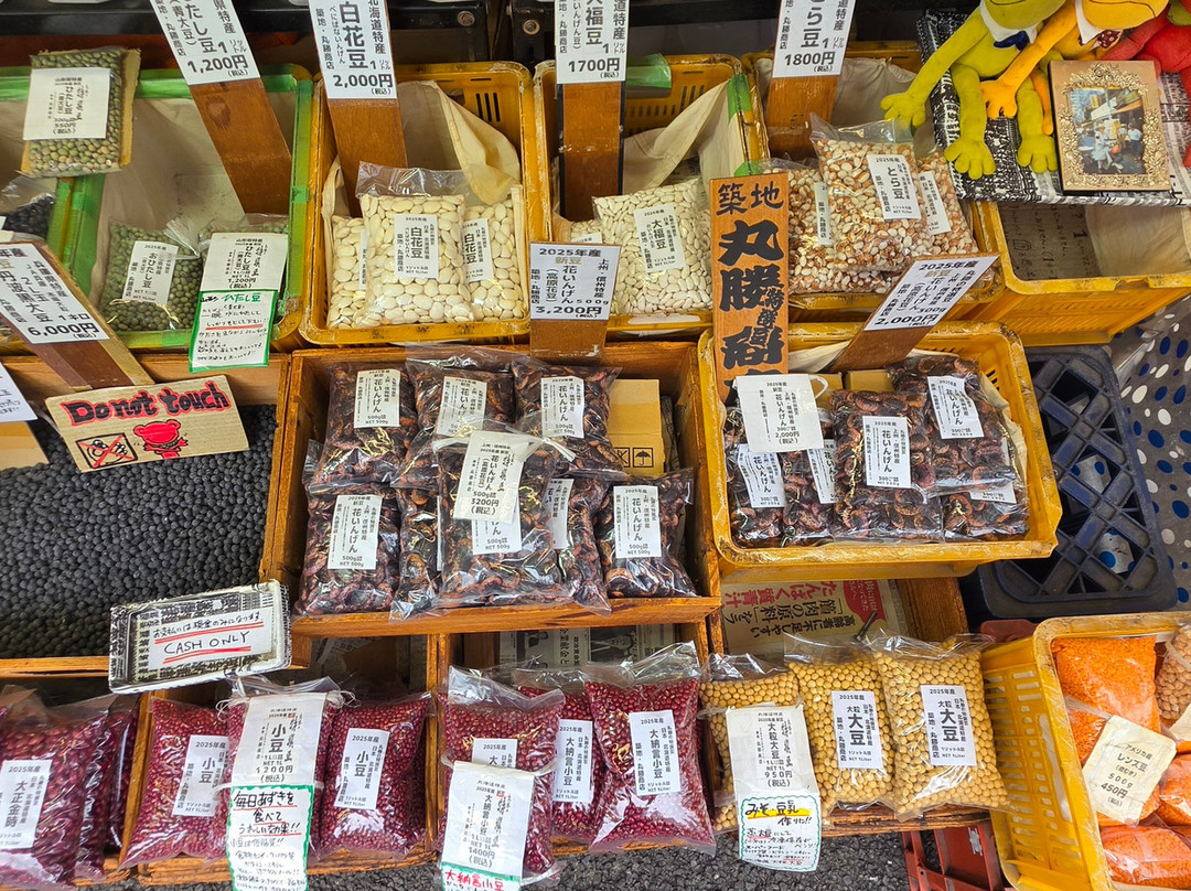 Tsukiji Nippon Fish Port Market-Tsukiji必去景点