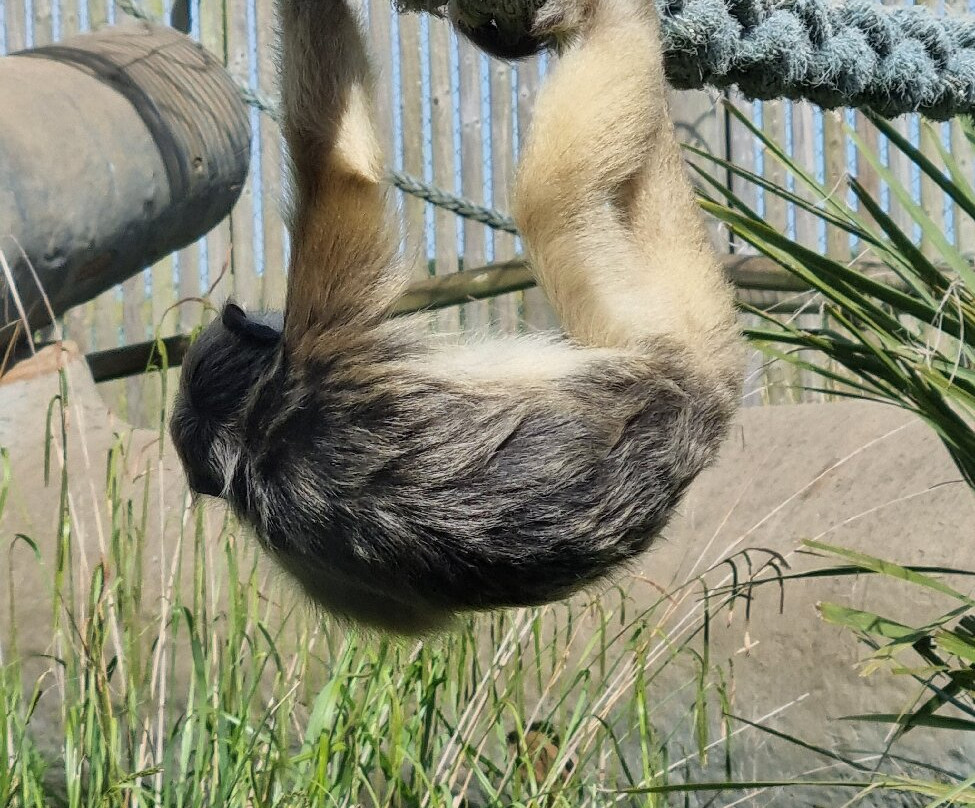 Wingham Wildlife Park-Wingham必去景点