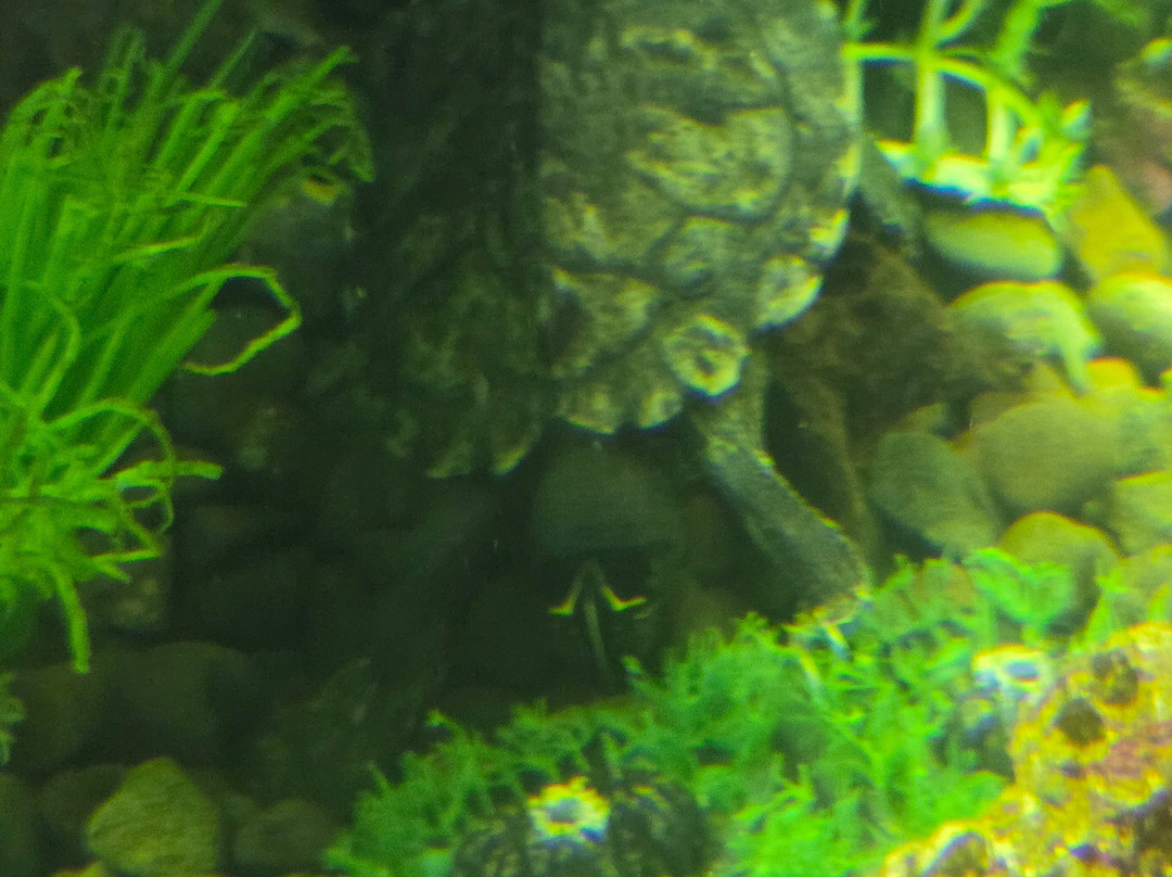 Exploris Aquarium-Portaferry必去景点