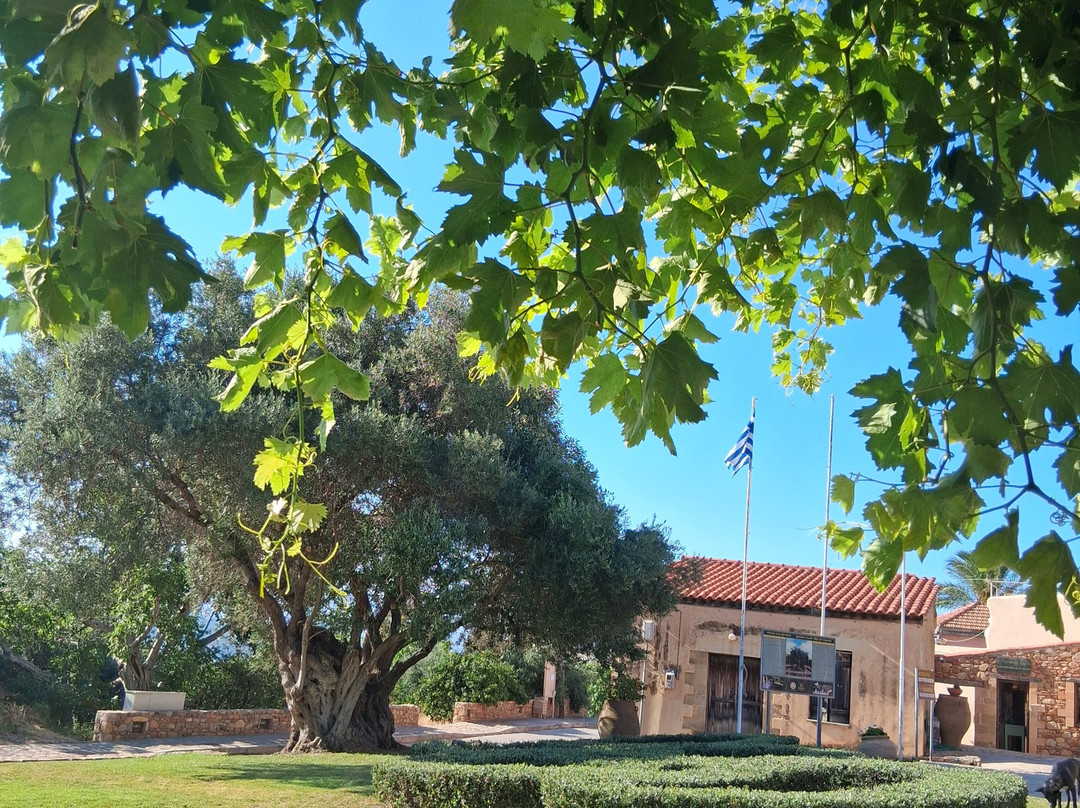 Olive Tree Museum of Vouves-Vouves必去景点