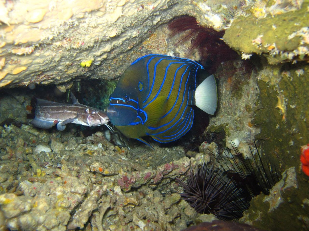 Perhentian Private Snorkeling By Mat & Man