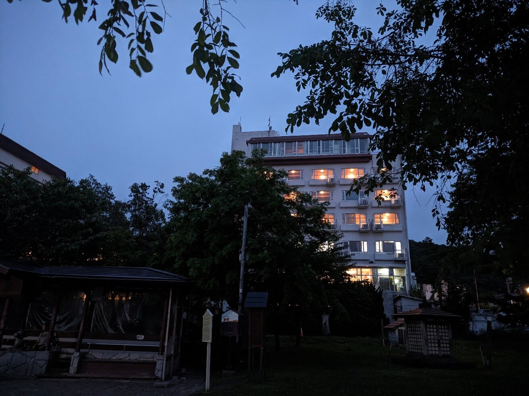 洞爷湖温泉大和旅馆别馆主图