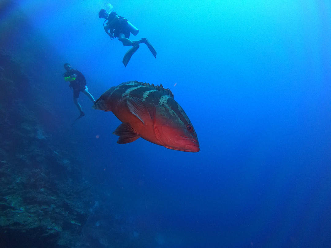 Only Blue Diving Dreams-Cockburn Town必去景点