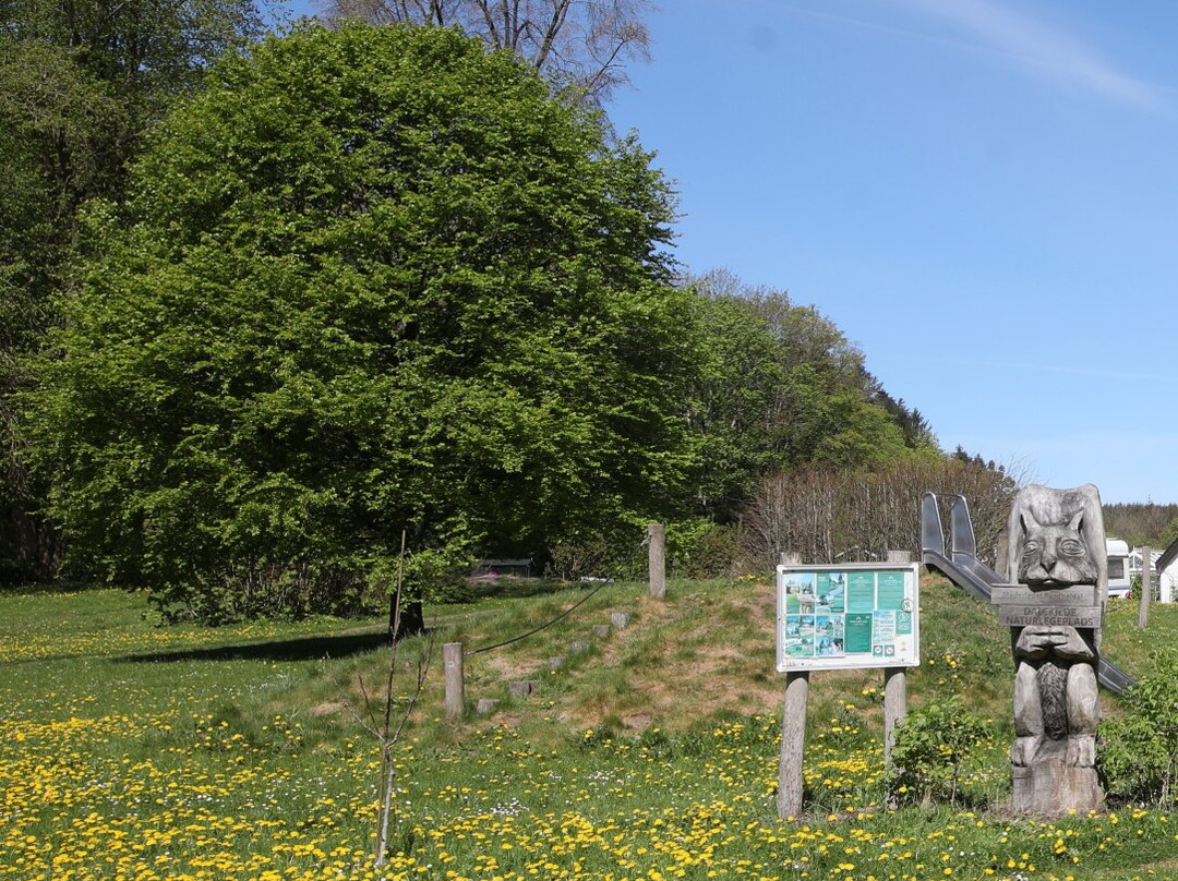 Mødestedet Randbøldal - Dalekilde Naturlegeplads
