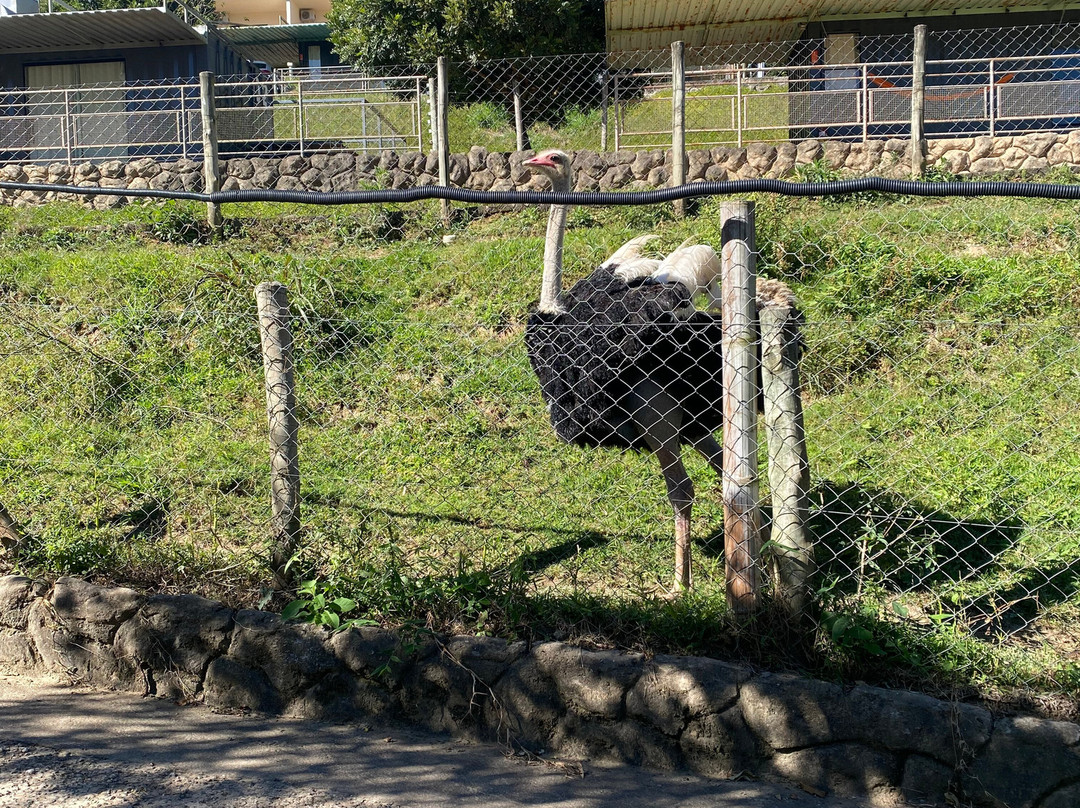 Hotel Fazenda Terra Dos Sonhos主图