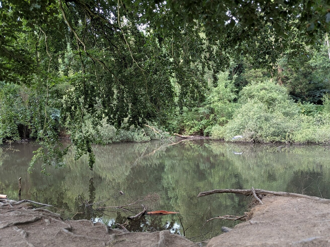 Gosford Forest Park-阿尔马必去景点