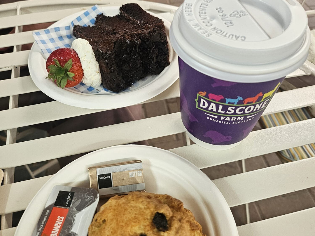 Dalscone Farm Fun-邓弗里斯必去景点