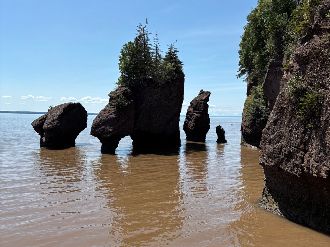 Hopewell Rocks-霍伯威尔角必去景点