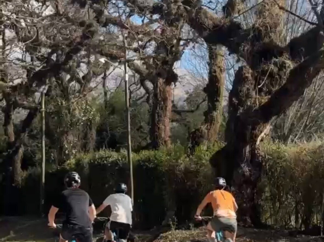 MTB Aventura Salta-萨尔塔必去景点