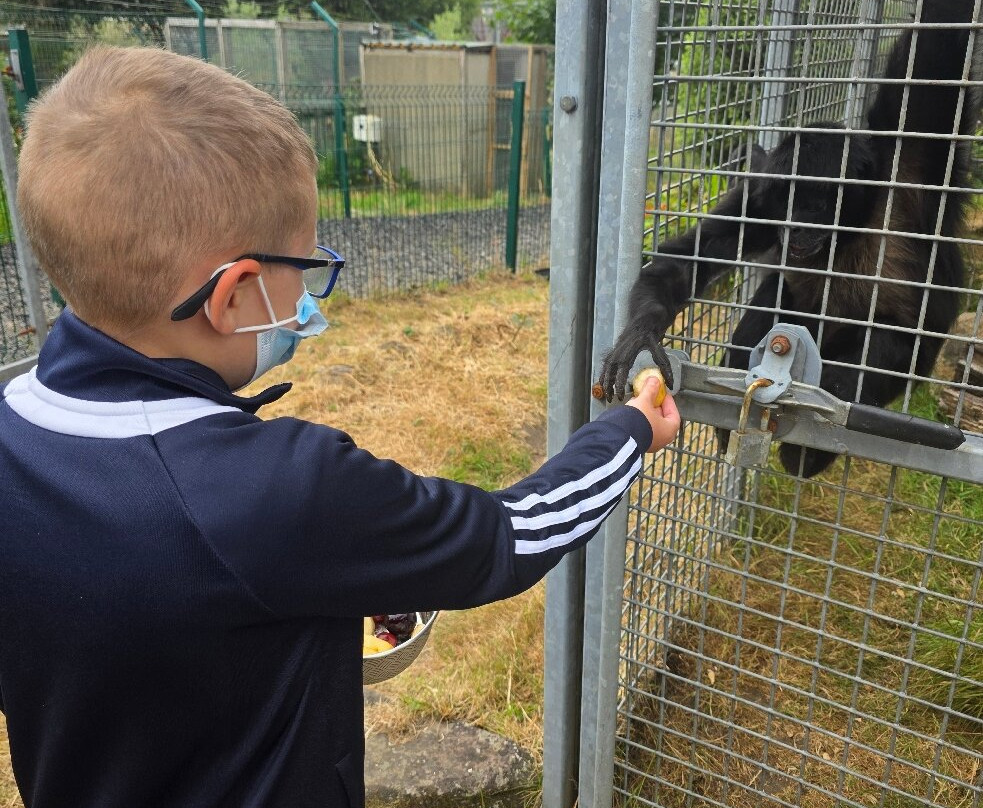 Wales Ape and Monkey Sanctuary-Abercraf必去景点