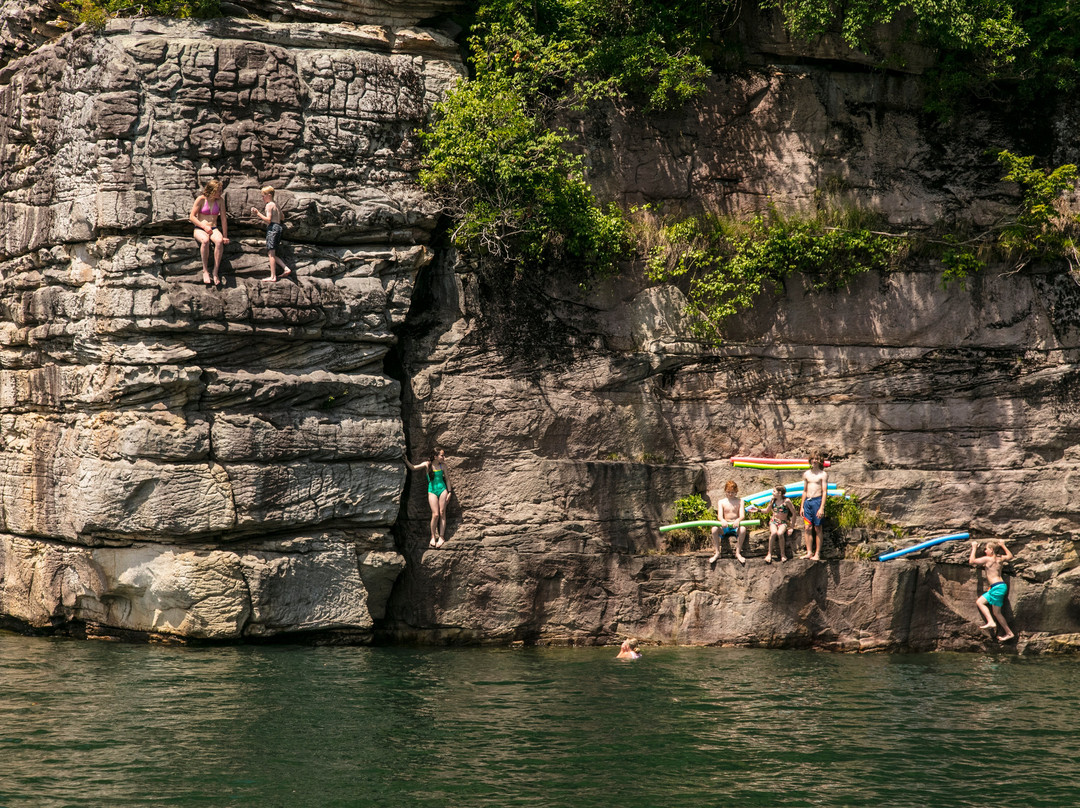 Johnson's Pontoon-Mount Nebo必去景点