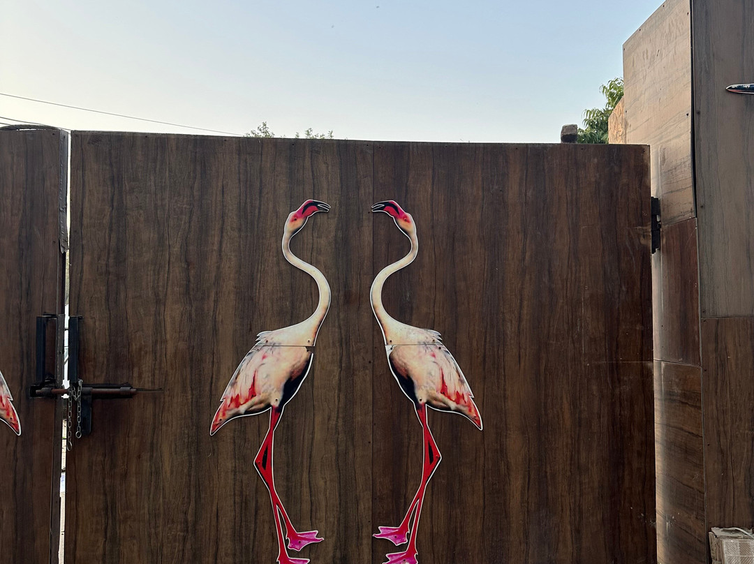 Okhla Bird Sanctuary-诺伊达必去景点