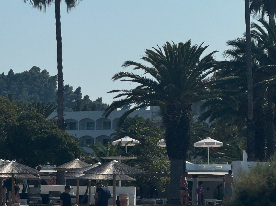 Kassandra Palace 海滨度假村主图