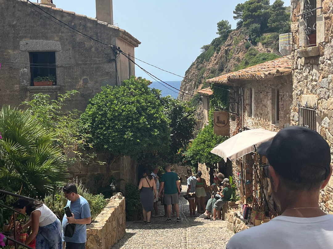 Castillo de Tossa de Mar-多萨德马尔必去景点