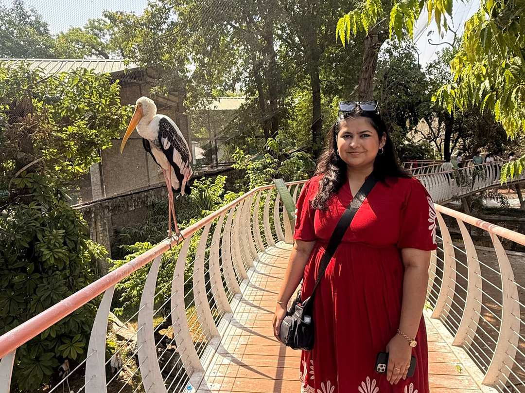 Sayaji Baug Zoo-瓦都达拉必去景点