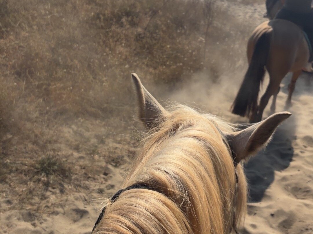 Aux Poneys d Eden-Canale-di-Verde必去景点