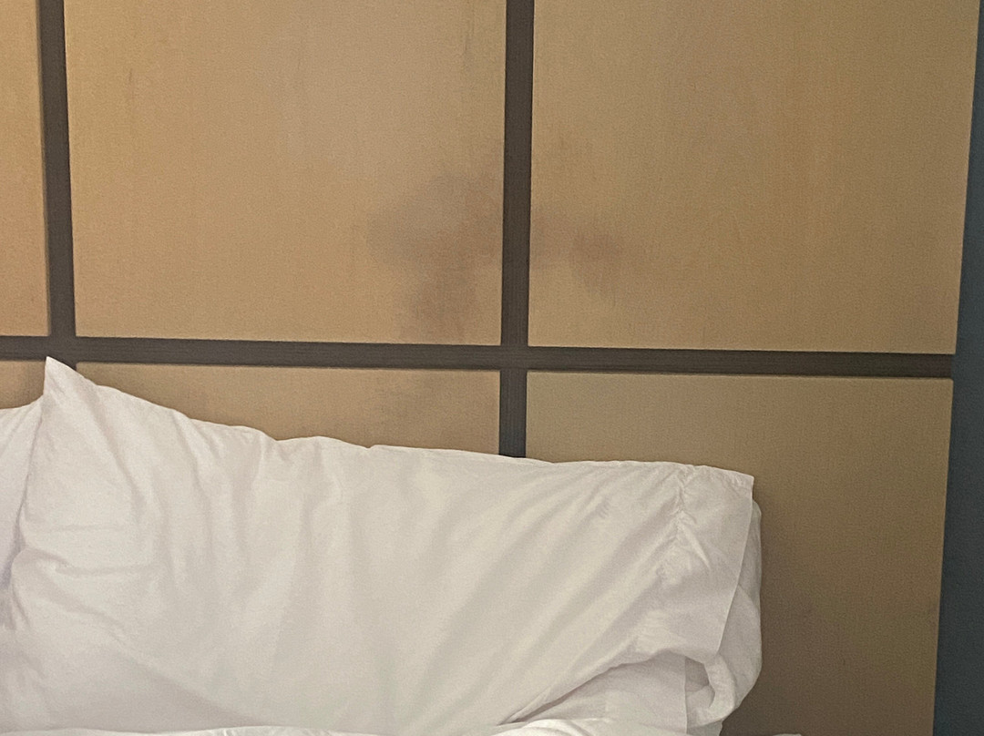 Candlewood Suites 大急流城机场主图