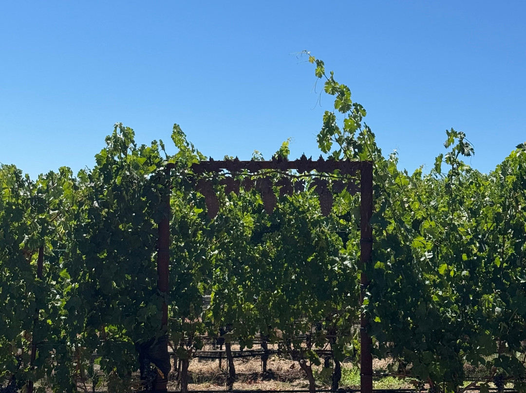 Coursey Graves Estate Winery-圣罗莎必去景点