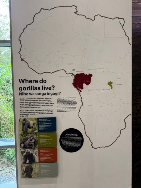 Ellen DeGeneres Campus of the Dian Fossey Gorilla Fund-Kinigi必去景点