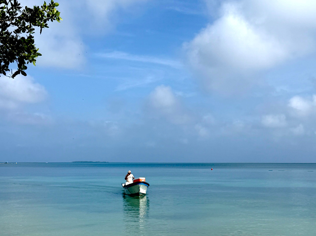 Hotel Isla Palma Reserva Natural主图