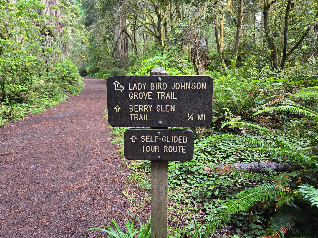 Lady Bird Johnson Grove-Orick必去景点
