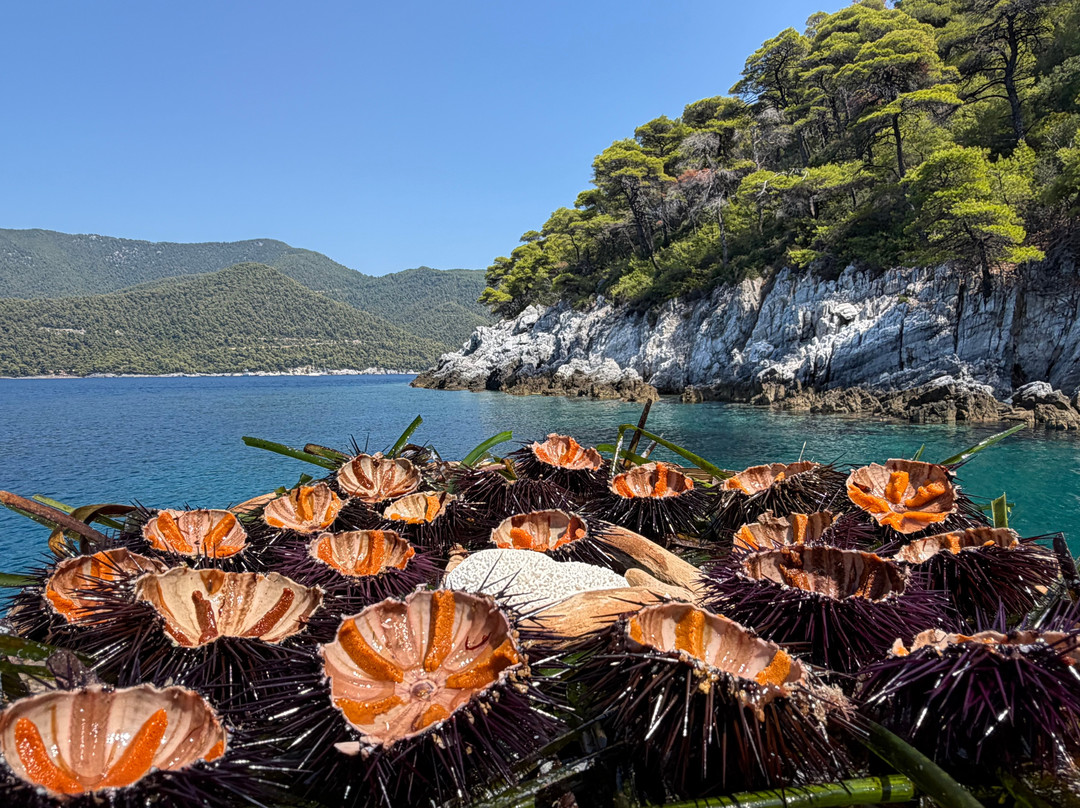 Skiathos Experience-Skiathos Town必去景点