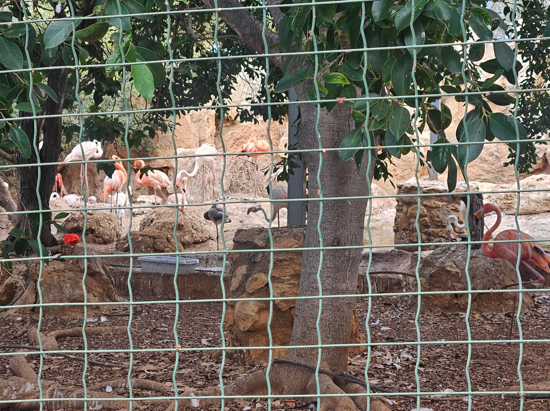 Pafos Zoo-帕福斯必去景点