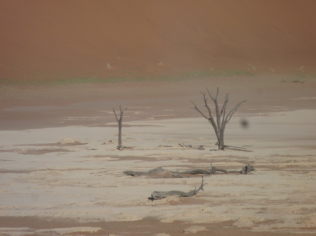 Namibia Tours & Safaris-斯瓦科普蒙德必去景点