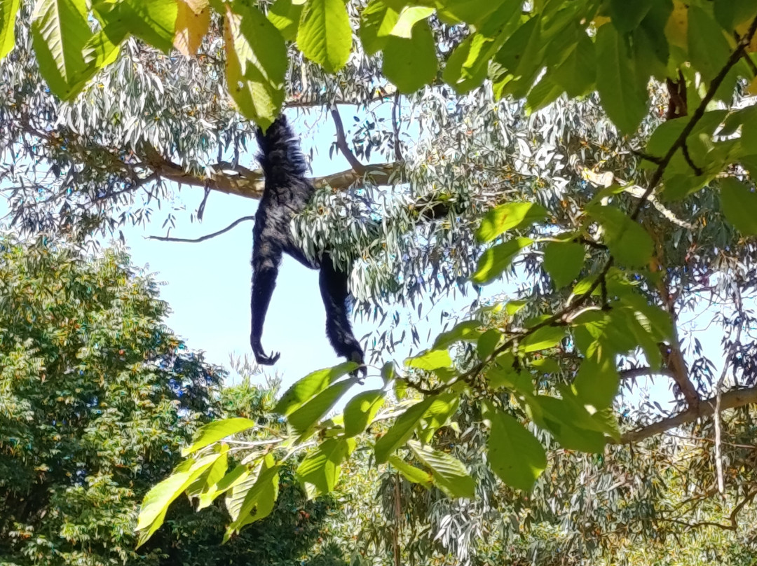ZooParc de Trégomeur-Tregomeur必去景点