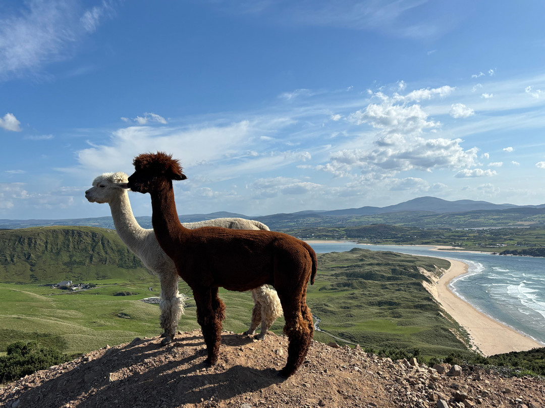 Go Visit Inishowen Tourist Office-Buncrana必去景点