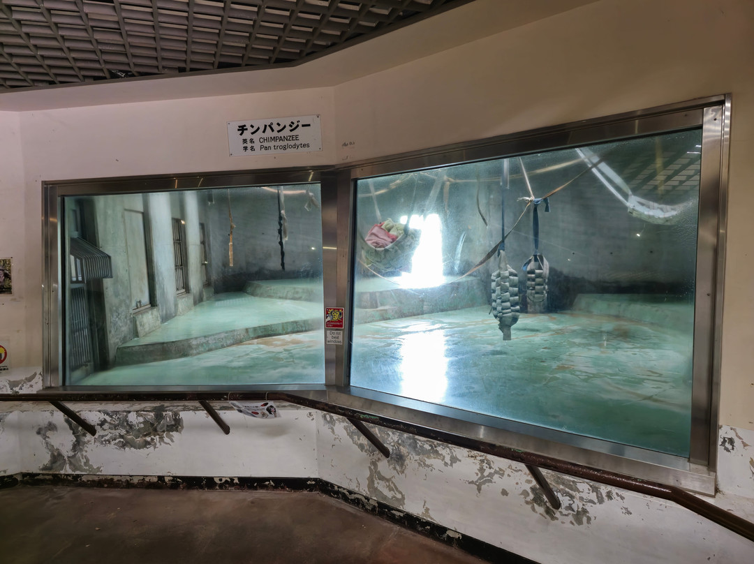 Awajishima Monkey Center-洲本市必去景点