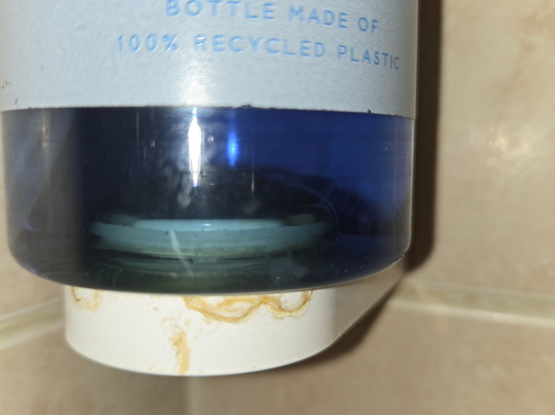 牛津雷蒙特酒店主图