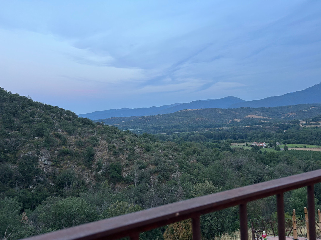 Le Moot Bar Tapas De Cactus