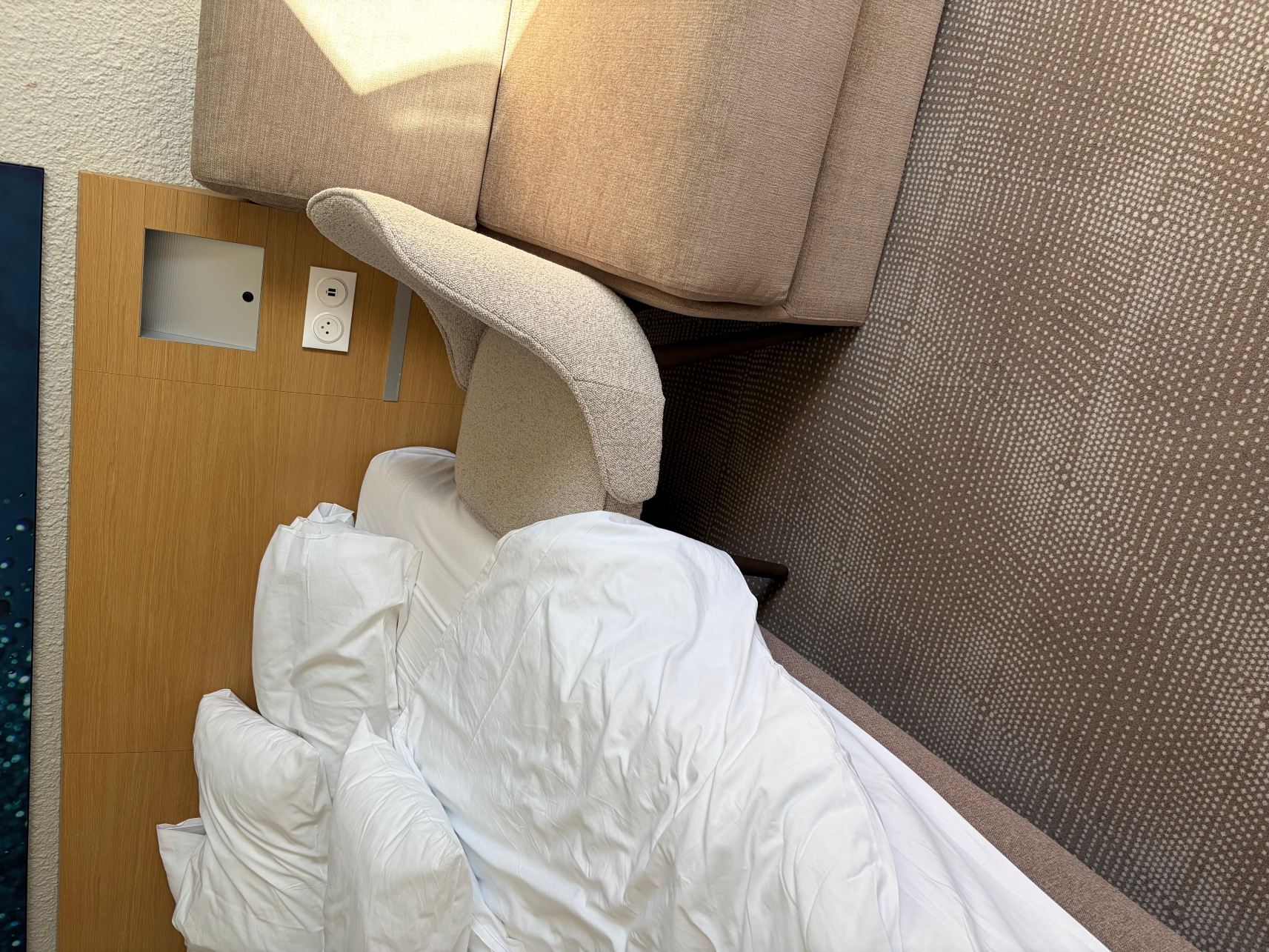 格勒诺布尔北部沃雷普诺富特酒店-旅行者