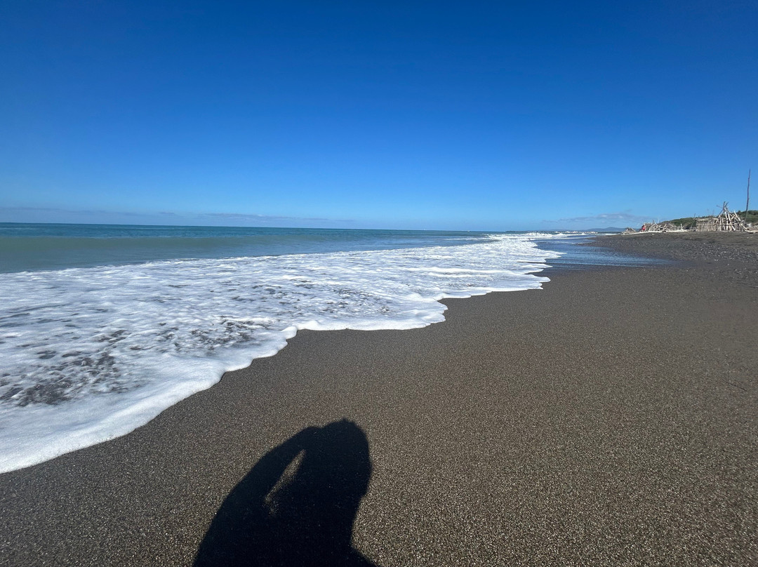 Spiaggia libera di Bibbona-Marina di Bibbona必去景点