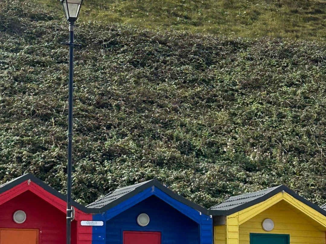 Saltburn Beach-Saltburn-by-the-Sea必去景点