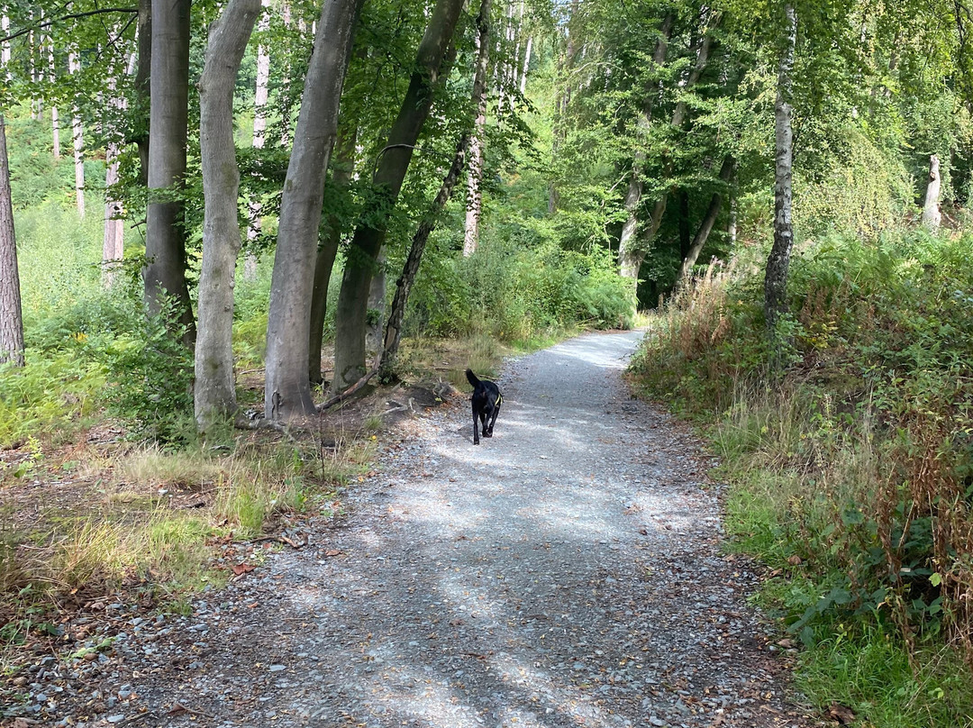 Delamere Forest-Delamere必去景点