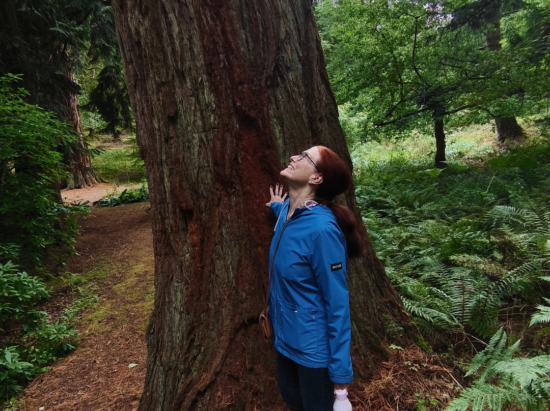 Drumlanrig Castle-Thornhill必去景点