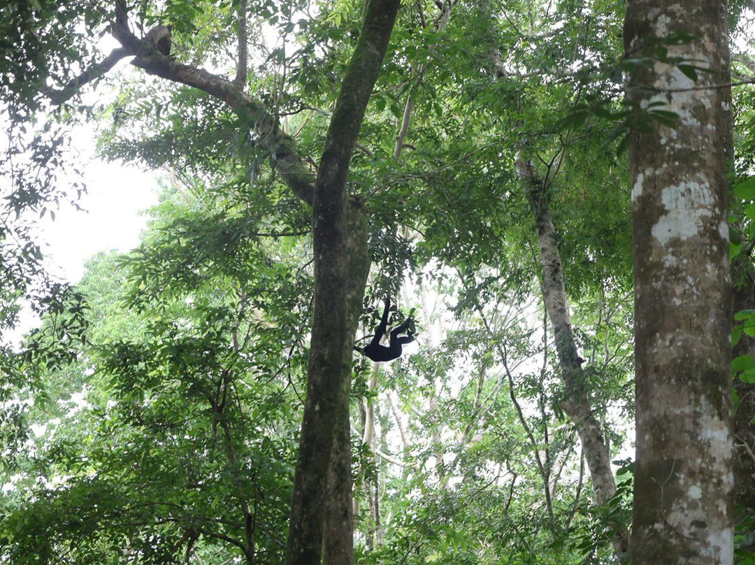 Vietnature Tour (cattien Wild Tour)-Tan Phu District必去景点