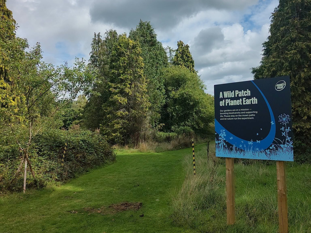 Jodrell Bank-麦克尔斯菲尔德必去景点