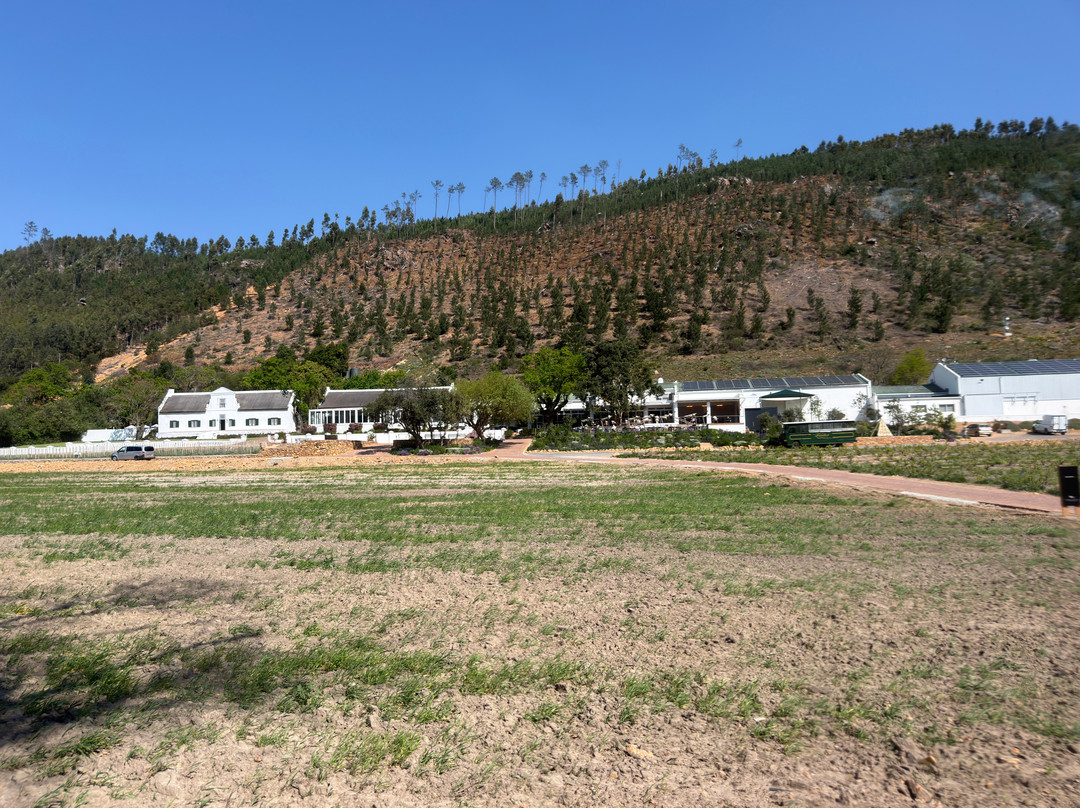 Rickety Bridge Wine Estate