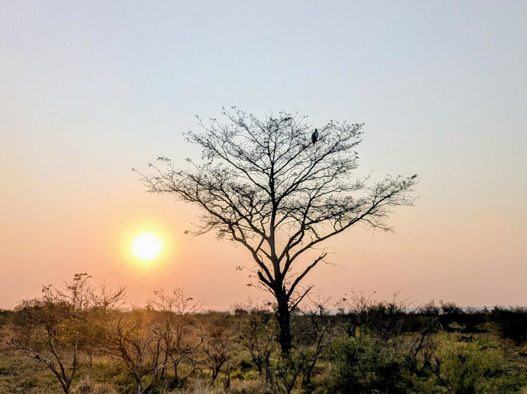 Lion Roar Safaris-尼斯普鲁特必去景点