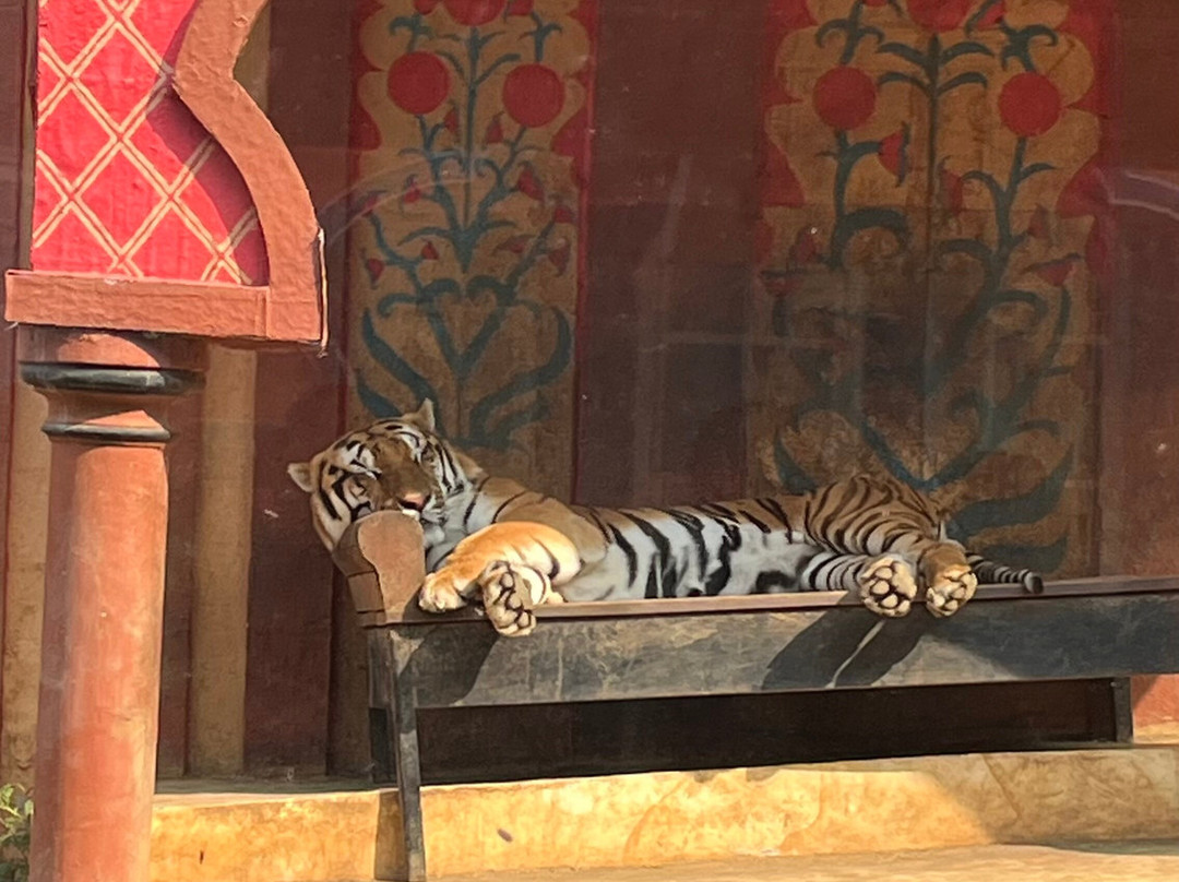 Batu Secret Zoo (Jawa Timur Park 2)-巴图必去景点
